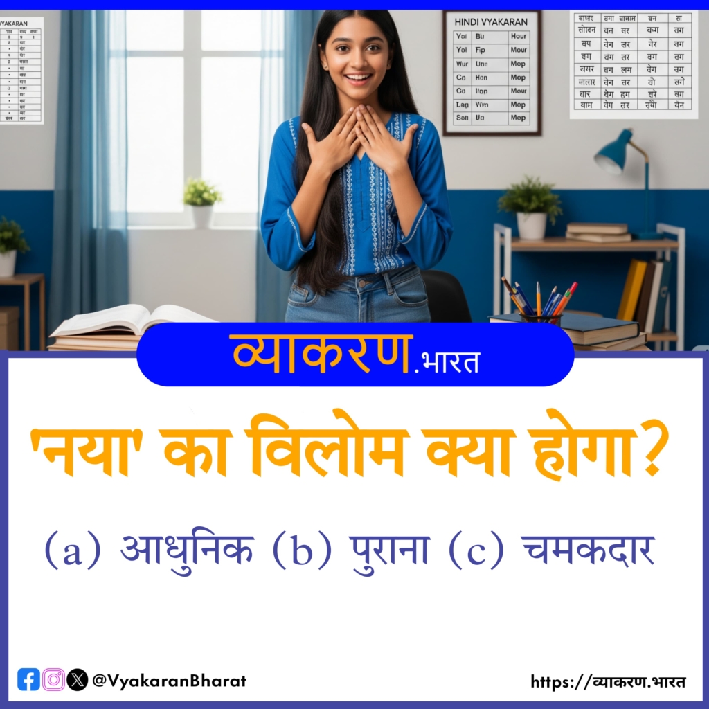 नया का विलोम क्या होगा?
