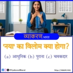 नया का विलोम क्या होगा?